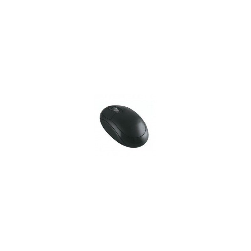 Souris Optique USB Simple SPIDER M835